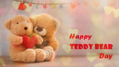 Teddy Bear Day Pic