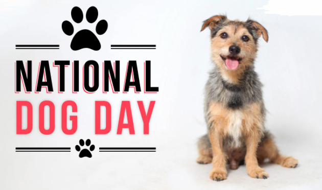 Happy National Dog Day