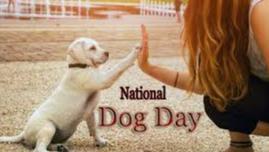 Dog Day Images