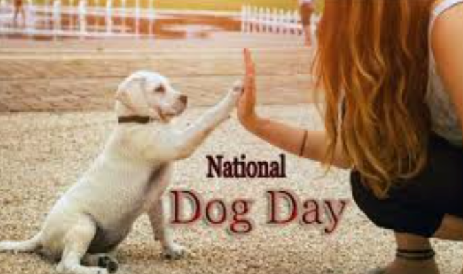 Dog Day Images