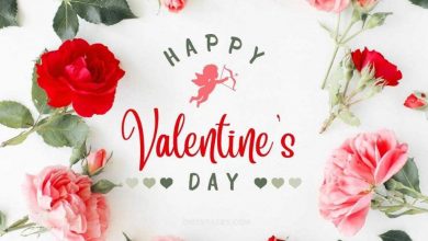 Quotes About Valentine's Day 2023