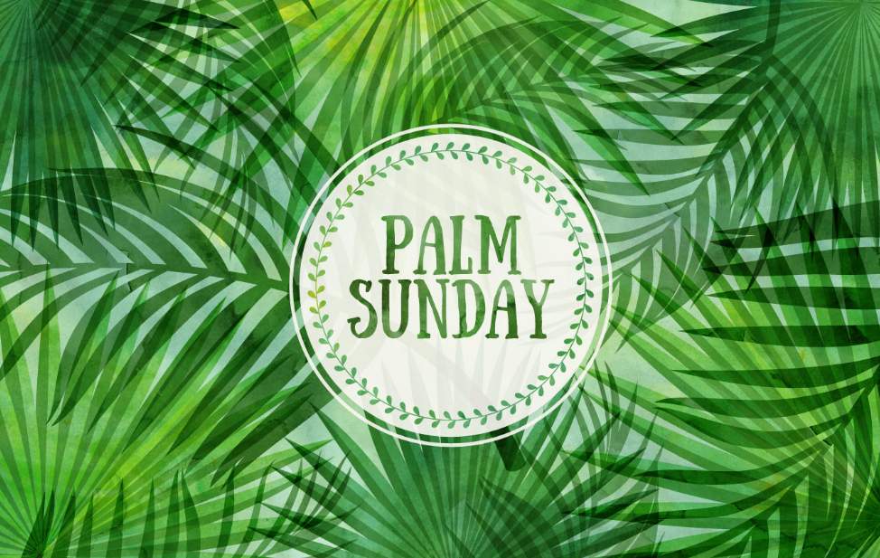 Wishing Palm Sunday