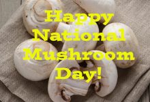 Happy Mushroom Day