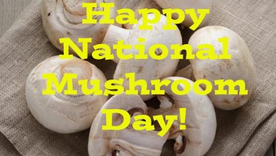Happy Mushroom Day
