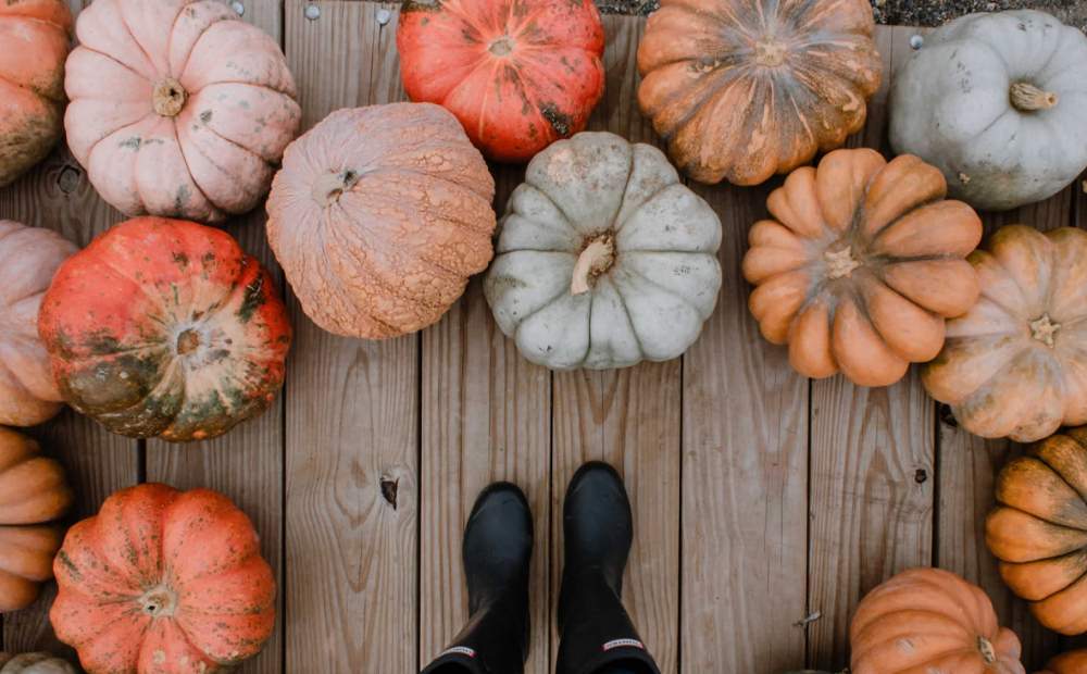 National Pumpkin Day Quotes