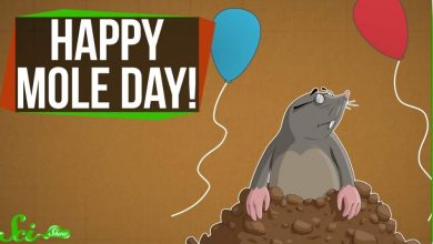 National Mole Day