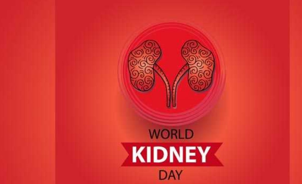 Kidney Day