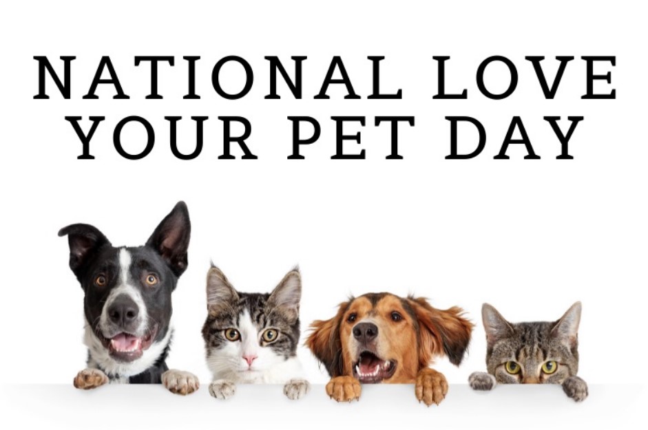 Love your Pet Day